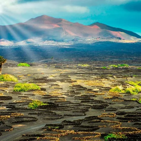 La Dehesa 아파트 *